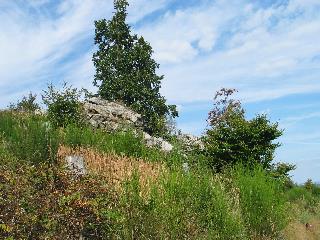 imm_6670_m.jpg