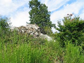 imm_6671_m.jpg