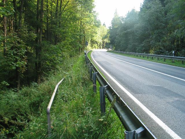 imm_6684_g.jpg