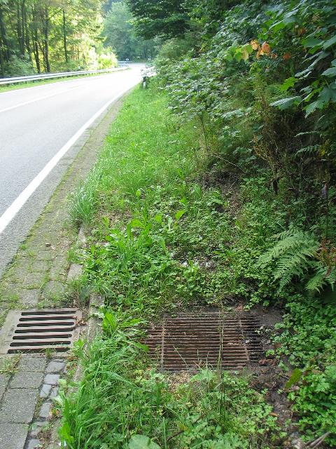imm_6689_g.jpg