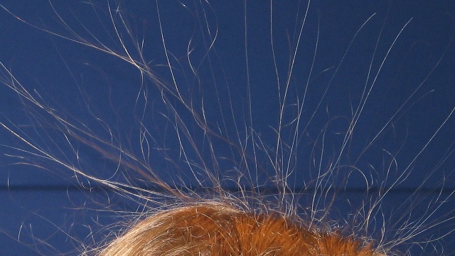 imm_6898-a_g.jpg