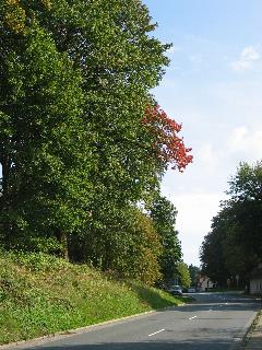 imm_7078_m.jpg