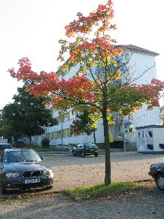 imm_7091_m.jpg