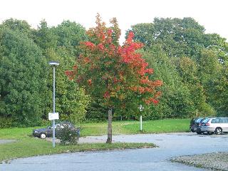 imm_7093_m.jpg