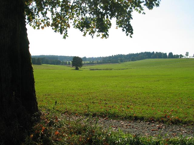 imm_7179_g.jpg