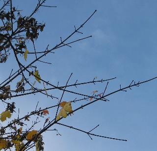 imm_7597-a_m.jpg