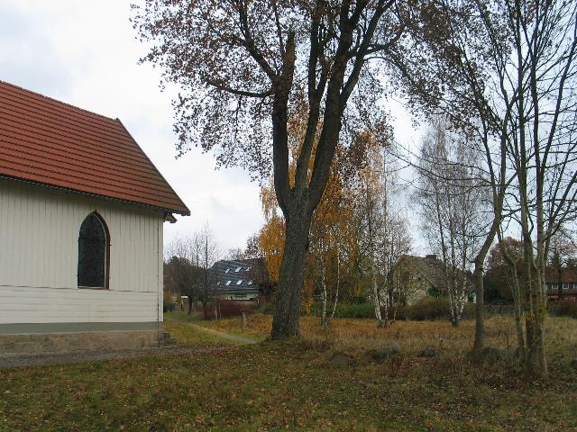 imm_7680_g.jpg