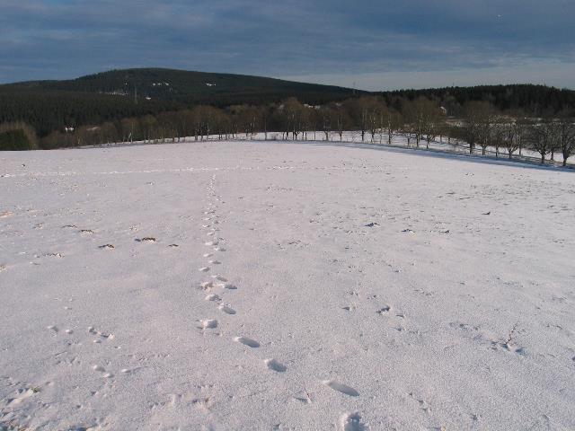 imm_7838_g.jpg
