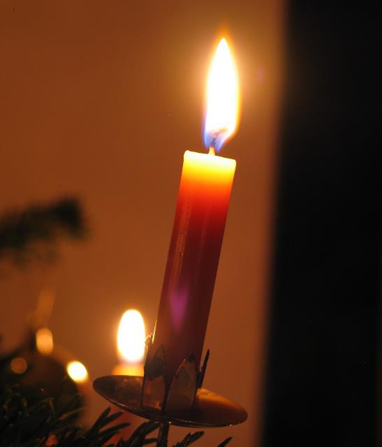 imm_7862_g.jpg