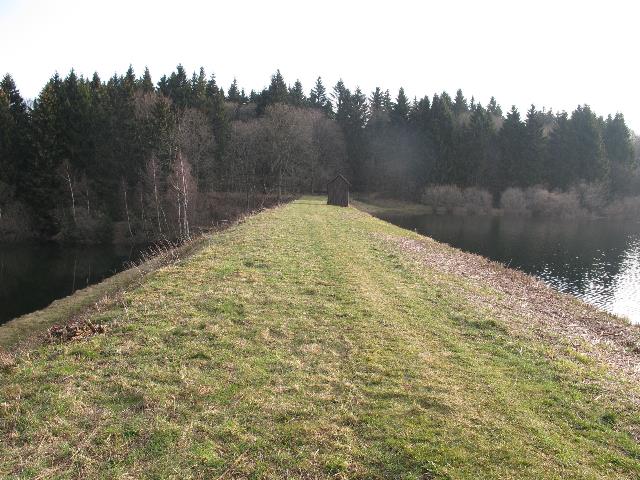 imm_8843_g.jpg