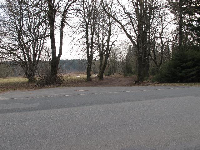 imm_8855_g.jpg