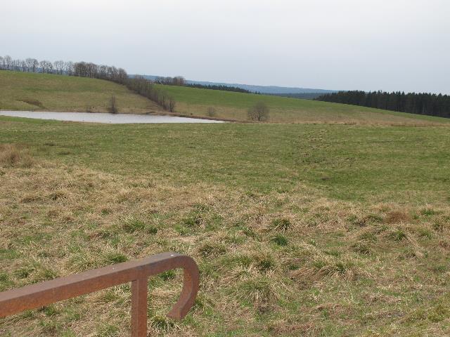 imm_8892_g.jpg