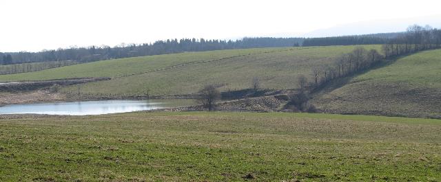 imm_8937-a_g.jpg