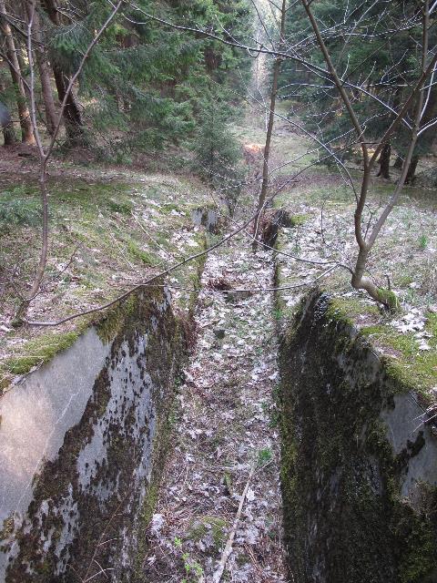 imm_8964_g.jpg