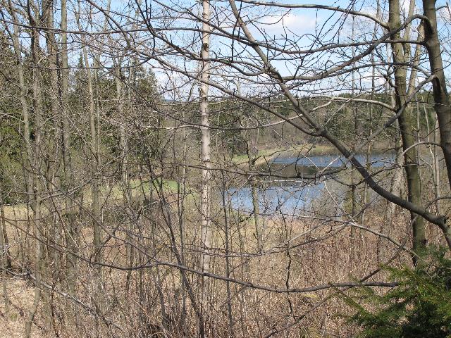 imm_9034_g.jpg