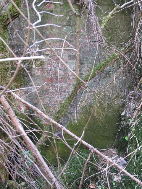 imm_9181_g.jpg
