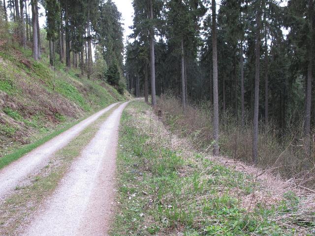 imm_9195_g.jpg