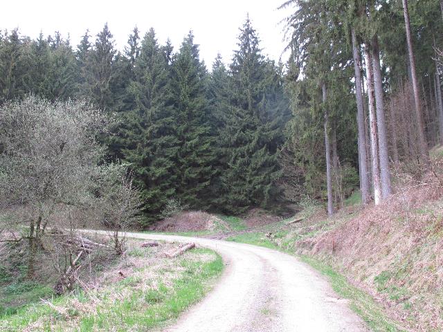 imm_9203_g.jpg