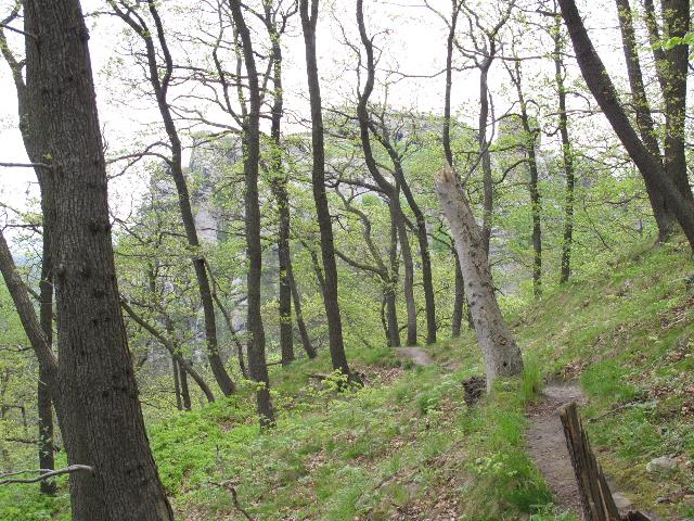 imm_9225_g.jpg