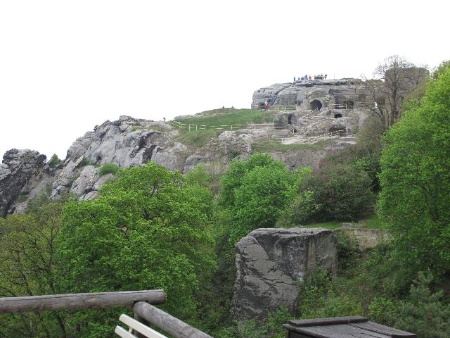 imm_9229_g.jpg