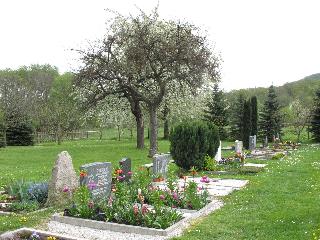 imm_9258_m.jpg