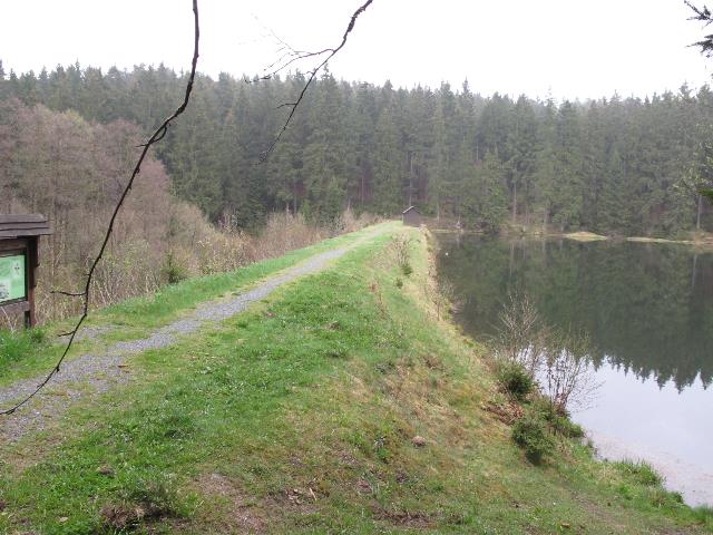 imm_9291_g.jpg