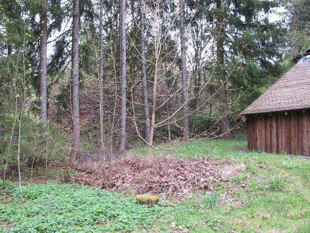 imm_9334_g.jpg