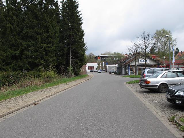 imm_9339_g.jpg