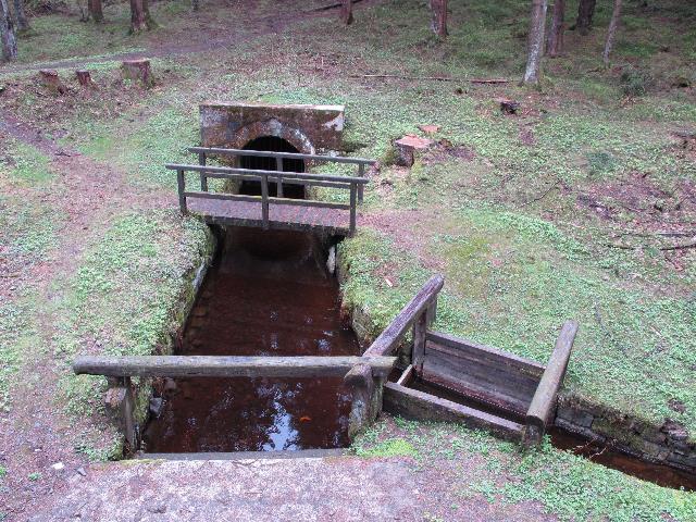 imm_9367_g.jpg