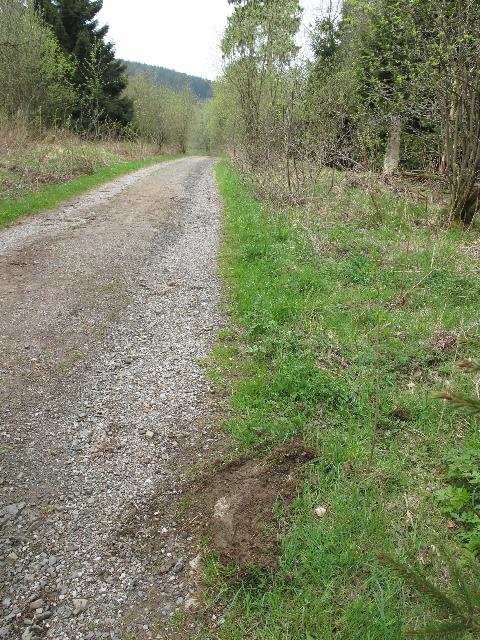 imm_9403_g.jpg