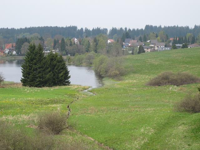 imm_9411_g.jpg