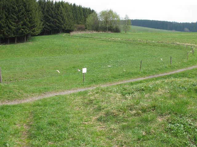 imm_9413_g.jpg