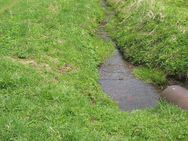 imm_9422_g.jpg