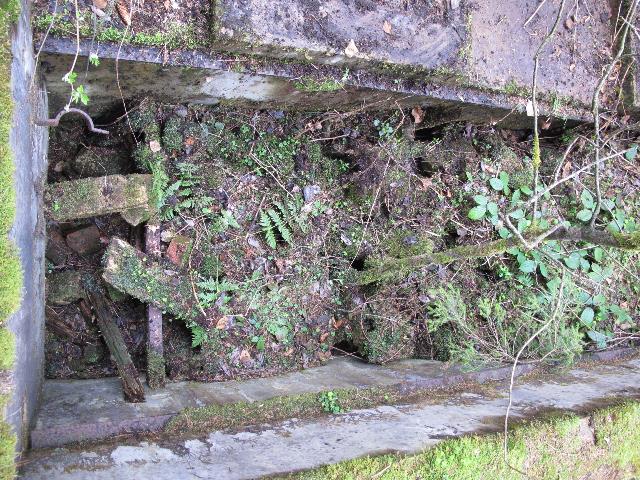 imm_9452_g.jpg