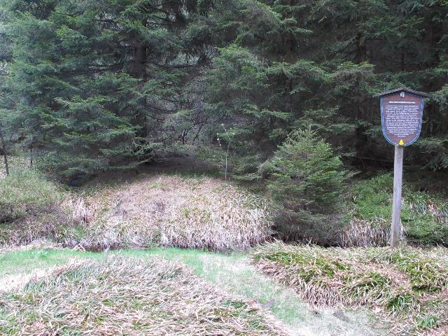 imm_9460_g.jpg