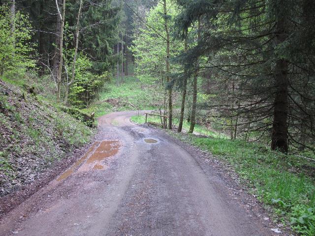 imm_9495_g.jpg