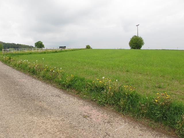 imm_9574_g.jpg