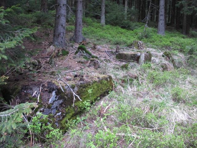 imm_9695_g.jpg