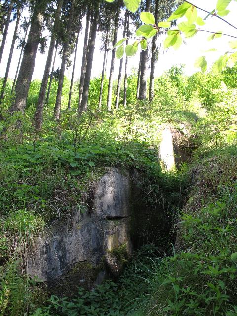 imm_9744_g.jpg