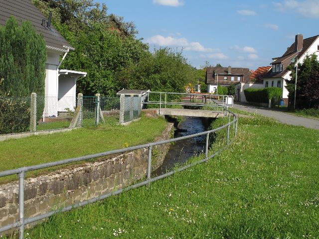imm_9788_g.jpg