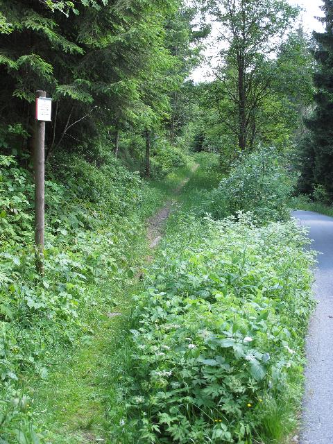 imn_0445_g.jpg