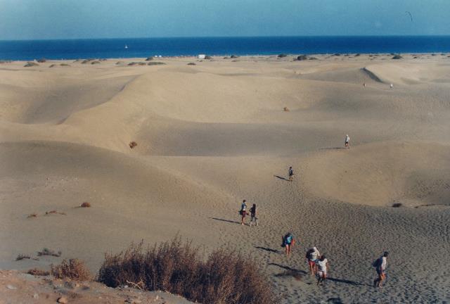 imn_0580_g.jpg