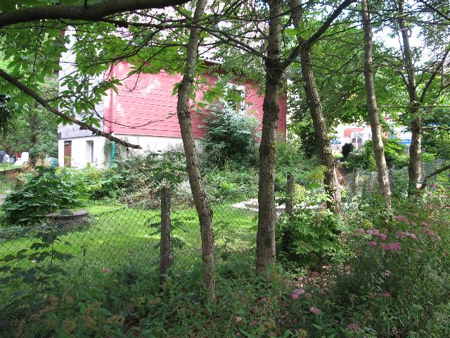 imn_1348_g.jpg
