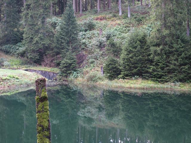 imn_2352_g.jpg