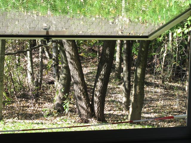 imn_3332_g.jpg
