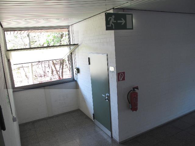 imn_3333_g.jpg