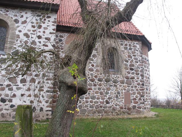 imn_4070_g.jpg