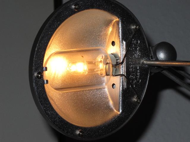 imn_4123_g.jpg