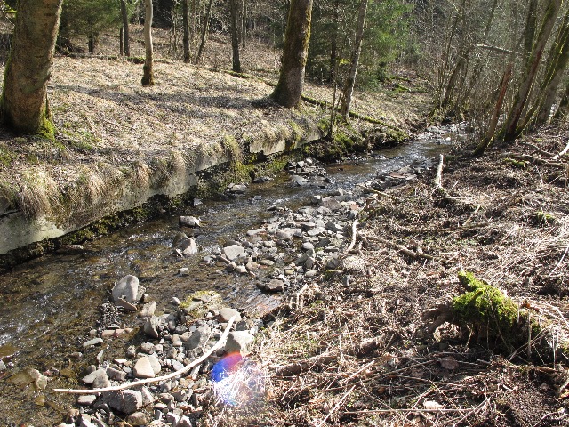 imn_5191_g.jpg
