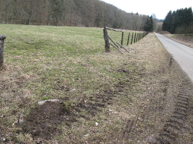 imn_5195_g.jpg